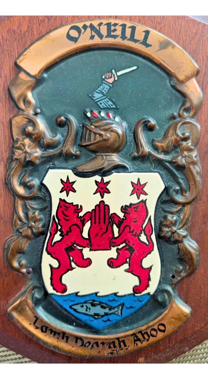 Gules (Rojo): Es el color más destacado, presente en los leones, las estrellas y la icónica Mano Roja. En heráldica, simboliza valor, fortaleza y el espíritu guerrero [10]. Plata/Blanco (Argent): Es el color del fondo del escudo (el campo). Representa pureza, elocuencia y sinceridad [10]. Oro (Or): Se observa en los detalles del casco (celada), los bordes decorativos y las cintas donde aparecen el nombre y el lema. Simboliza nobleza, generosidad y elevación de espíritu [10]. Azur (Azul): Aparece en la base del escudo, representando el agua donde nada el salmón. Simboliza lealtad y verdad [10]. Sinople (Verde): Es el color del fondo texturizado sobre el que reposa el casco y el escudo principal.